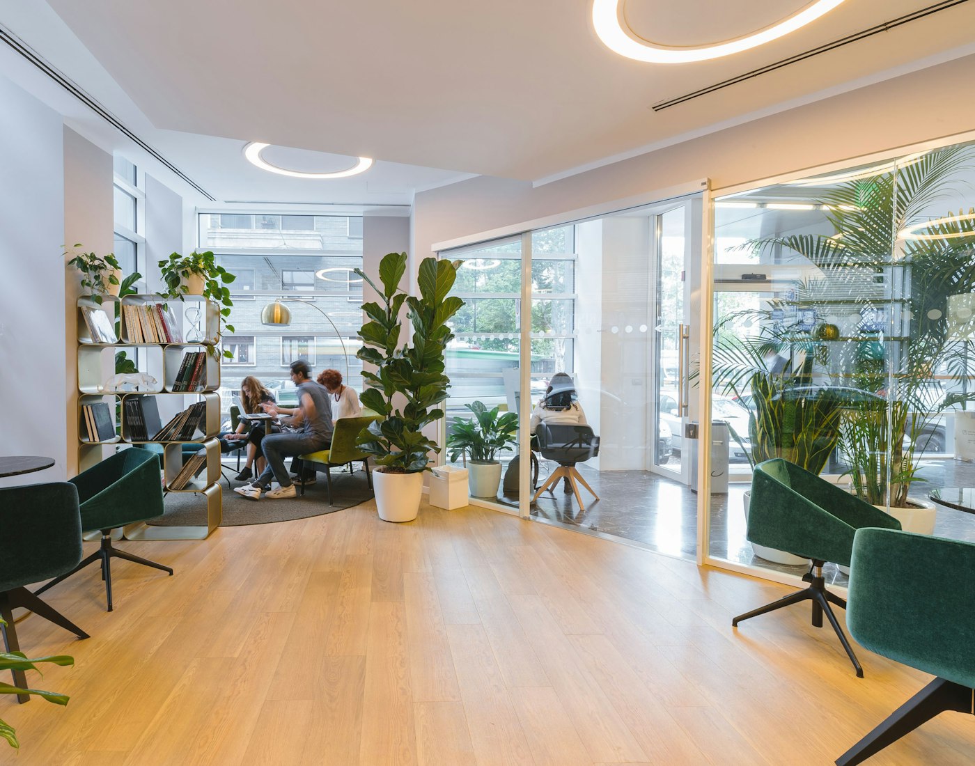 Local comercial con piso de madera, sillas y plantas